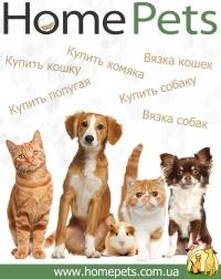 Продажа собак по всей Украине. HomePets, Французский Бульдог