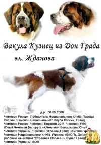 Московская сторожевая , щенки от самой титулованной собаки в Украине, Московская Сторожевая**