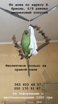 Улетел Ожереловый попугай, Not_specified