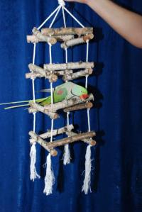Игрушки для попугаев из натуральных материалов, Зоомагазины