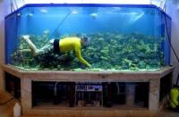 Обслуживание аквариумов в Харькове, Красота для животных