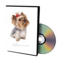 Видео уроки по обучению стрижке собак на DVD, Красота для животных