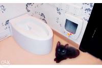 Новинка! Автоматический туалет для кошек и мелких собак!, Другое