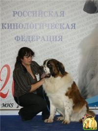 Московская сторожевая, самая титулованная собака в Украине, Московская Сторожевая**